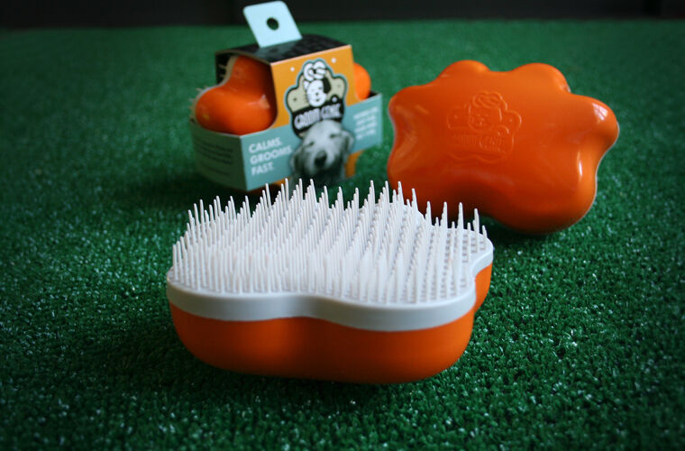 Q4 FOCUS: Home Grooming
